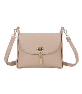 T11768 - Bolso pequeño con adorno de pluma dorada