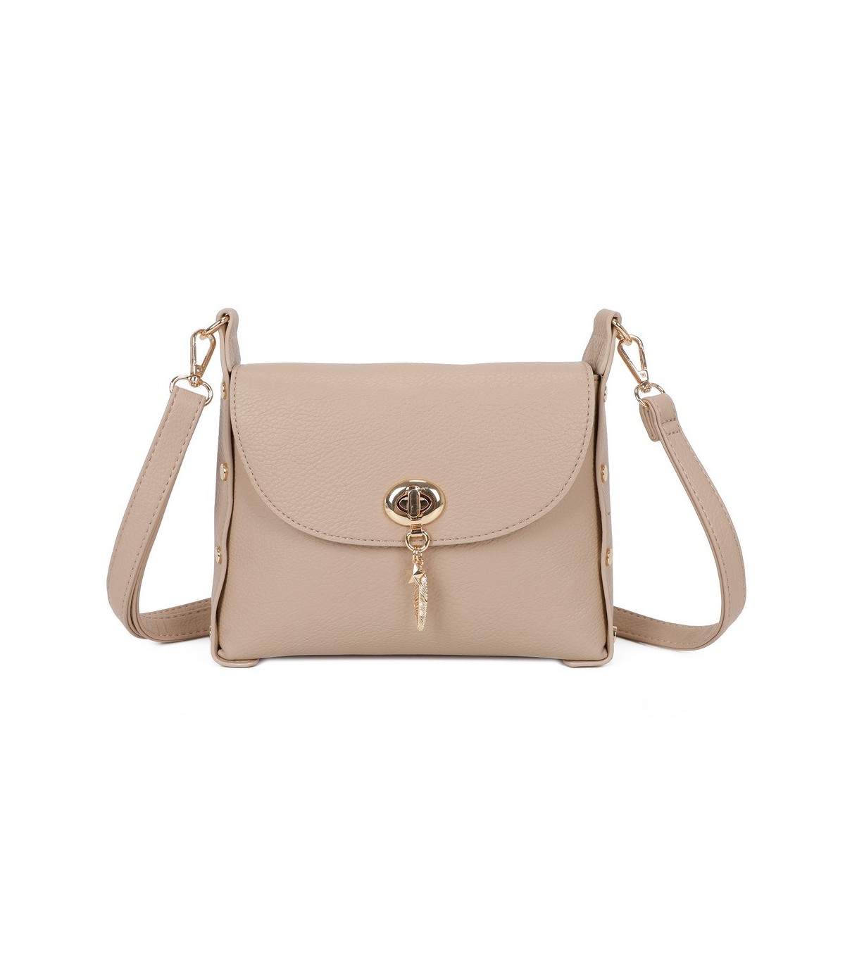 T11768 - Bolso pequeño con adorno de pluma dorada