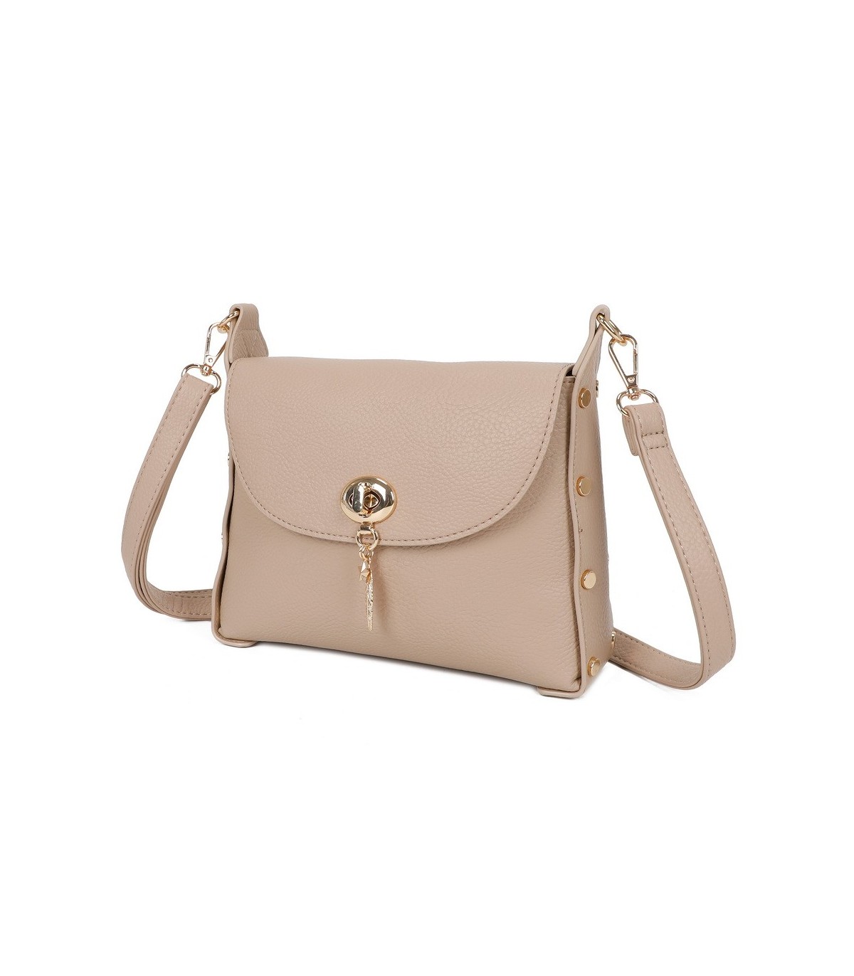 T11768 - Bolso pequeño con adorno de pluma dorada