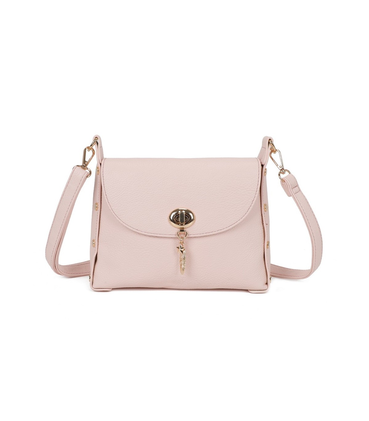 T11768 - Bolso pequeño con adorno de pluma dorada
