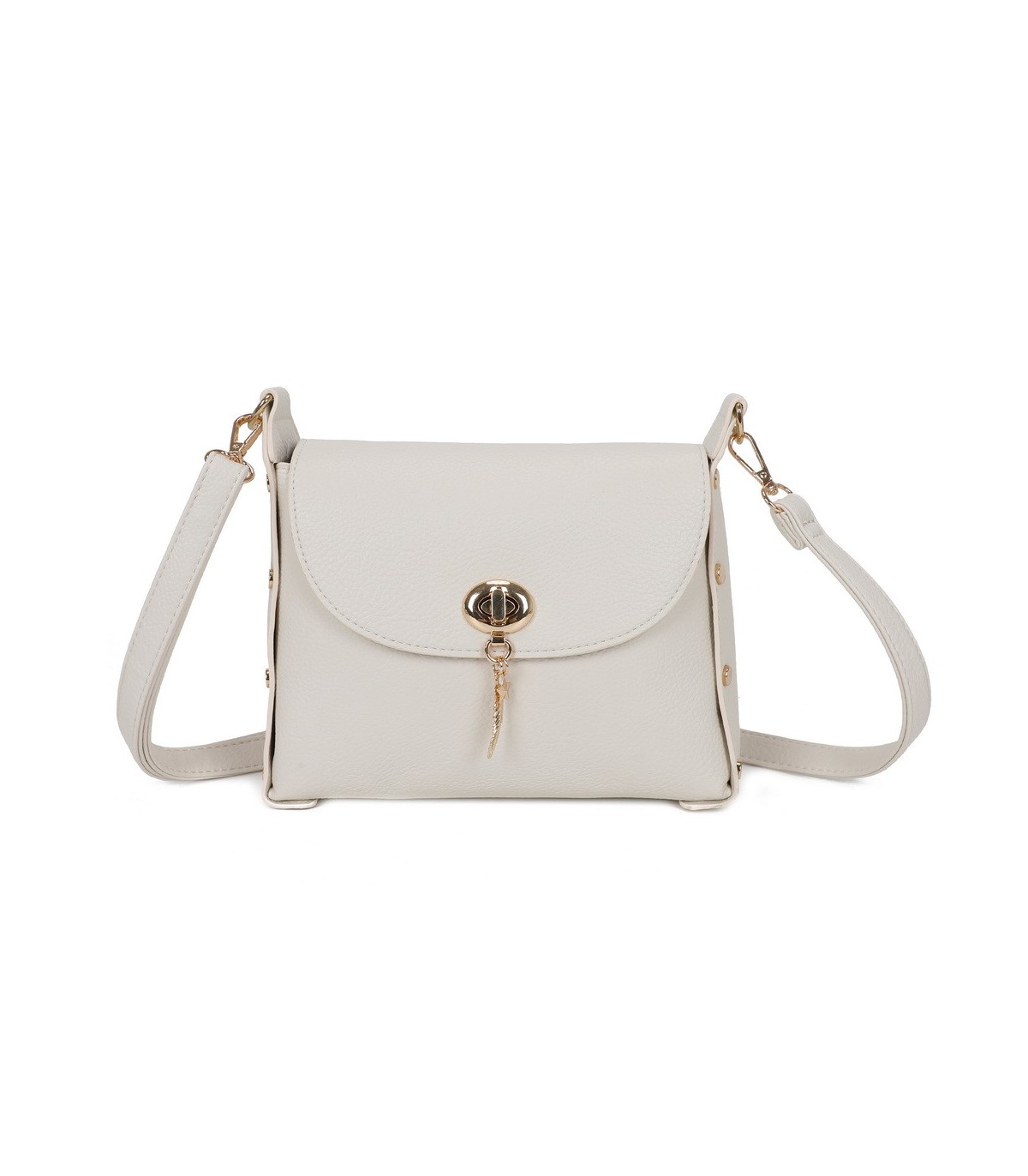 T11768 - Bolso pequeño con adorno de pluma dorada