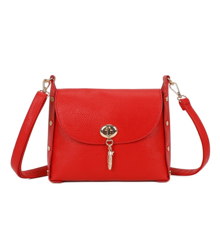 T11768 - Bolso pequeño con adorno de pluma dorada