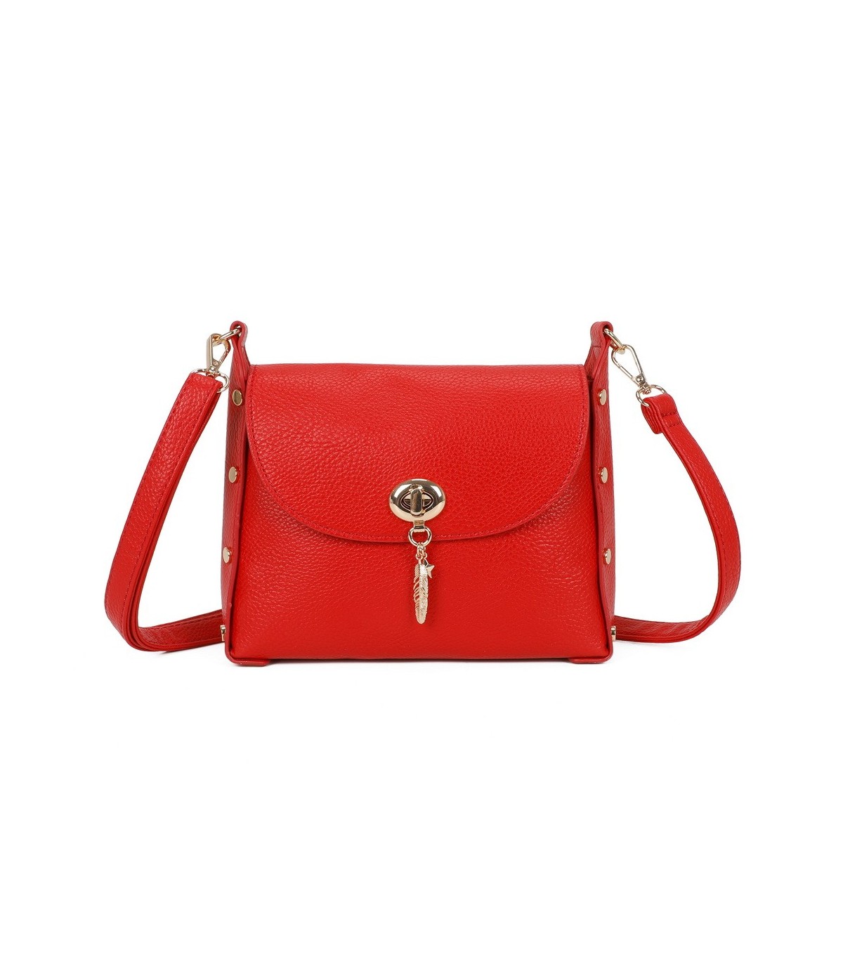 T11768 - Bolso pequeño con adorno de pluma dorada