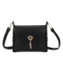 T11768 - Bolso pequeño con adorno de pluma dorada